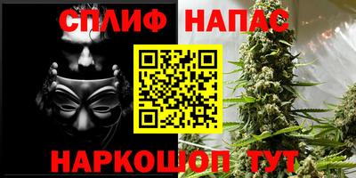 стафф Бузулук