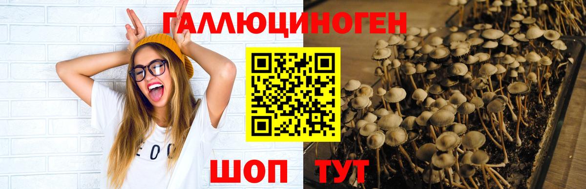 Куйбышев  Псилоцибиновые грибы Magic Shrooms  Галлюциногенные грибы Cubensis  наркотики  Вход с VPN 